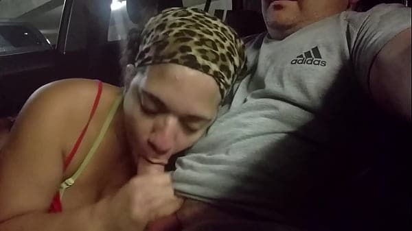 Car BJ CIM Swallow