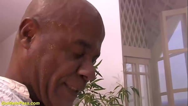 brazilian kidbengala interracial monster dick o...